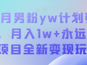 10月男粉变现项目：月入1W+蓝海玩法大揭秘，新手也能轻松上手-54创业网