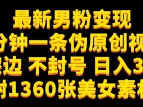 最新男粉变现项目：不擦边不封号，日赚300+，附1360张美女素材揭秘-54创业网