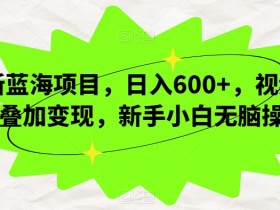 视频号变现新蓝海：新手小白日入600+无脑操作揭秘-54创业网