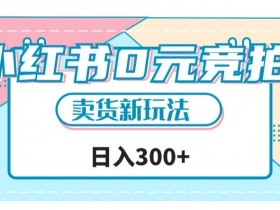 0元竞拍文玩卖货新玩法！小红书一天轻松赚300+秘籍大公开-54创业网