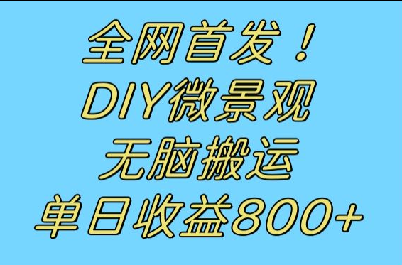 冷门DIY微景观项目：无脑搬运视频日赚800+，新手也能轻松上手-54创业网