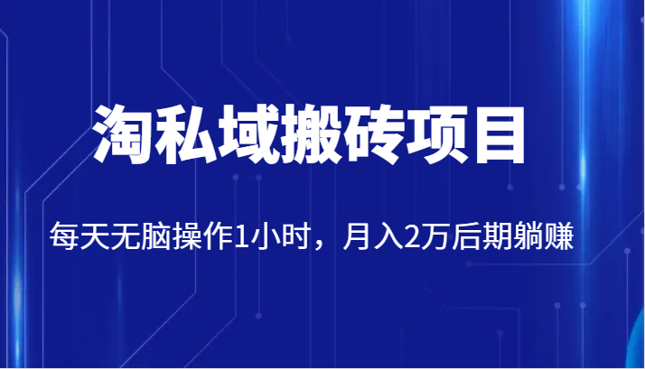 2980元淘私域搬砖项目：1小时日赚2万 无脑操作躺赚秘籍-54创业网