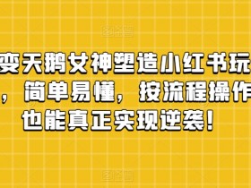 丑小鸭变天鹅：小红书女神速成攻略，月入5万+草根逆袭指南-54创业网