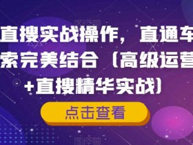 高阶直通车+手淘搜索实战：淘系直搜结合运营课，7天引爆流量-54创业网