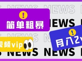 零成本高回报！揭秘全网视频VIP掘金项目，轻松月入2万+-54创业网