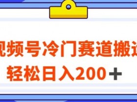 视频号冷门搬运玩法：揭秘轻松日入200+的最新赚钱技巧-54创业网