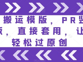 PR竖版短剧搬运模板：直接套用轻松过原创，小白也能快速上手-54创业网