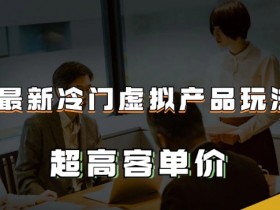 冷门虚拟产品玩法：超高客单价，轻松月入2-3万+揭秘-54创业网