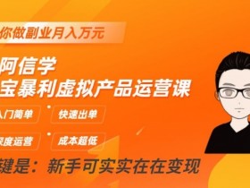 淘宝虚拟产品运营课：跟阿信学暴利玩法，快速出单，副业月入万元-54创业网