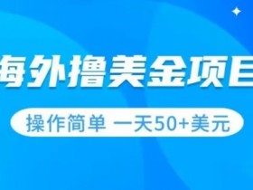 零门槛撸美金项目：小白轻松日赚50+美刀，手把手教你操作！-54创业网