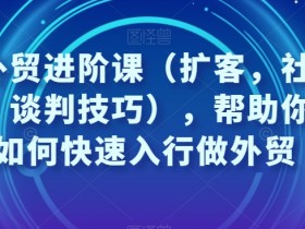 凤姐外贸课：扩客+社媒+谈判技巧，3步教你快速入行做外贸-54创业网