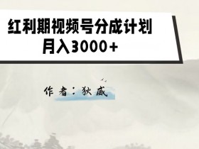 红利期视频号分成计划2.0：1980元付费课程免费教，抓住流量红利-54创业网