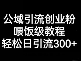 公域引流创业粉日引300+：喂饭级教程揭秘轻松涨粉技巧-54创业网