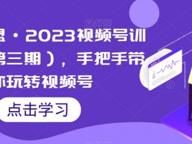 2023视频号训练营：狼团联盟手把手教你玩转视频号运营-54创业网
