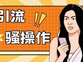 小白日引100精准粉：最新引流骚操作，单账号轻松加爆粉，适合各行各业！-54创业网