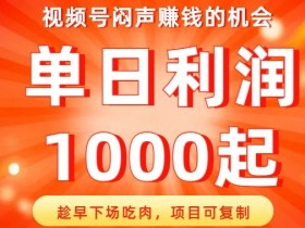 视频号赚钱秘籍：单日利润1000+的可复制项目，早入场早吃肉！-54创业网