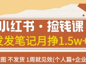 小红书捡钱课：发发笔记月入1.5w+ 不P图不发货 1周见效(个人+企业版)-54创业网