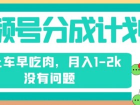 视频号分成计划：纯搬运无剪辑轻松月入1-2k，早上车早赚钱-54创业网