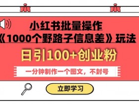 小红书批量操作：1000个野路子信息差玩法，日引100+创业粉，1分钟做图文不封号-54创业网