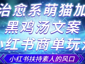 治愈系萌猫+黑鸡汤文案：3~10天小红书涨粉1000，接商单200/单-54创业网