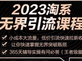 2023淘系无界引流实操课：小成本大流量技巧，低价拉新收割突破瓶颈-54创业网