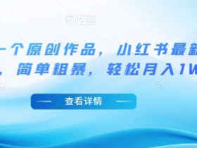 5分钟原创作品小红书冷门玩法：简单粗暴轻松月入1W＋揭秘-54创业网