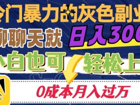 冷门暴利副业：0成本聊天赚钱日入300+，轻松月入过万揭秘-54创业网