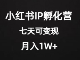 小红书IP孵化营：2000+投入7天变现，蓝海项目轻松月入1W+-54创业网