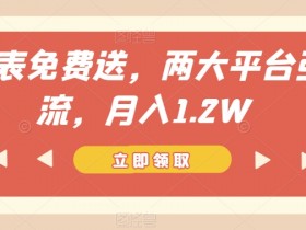 免费送手表赚钱秘籍：两大平台引流轻松月入1.2W，新手必看！-54创业网