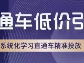 直通车低价引流课：系统学习直通车精准投放，低价高效引流技巧-54创业网