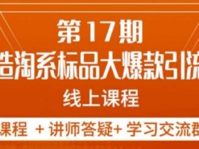 5天打造淘系标品爆款课：南掌柜第17期大促实战攻略-54创业网