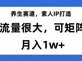 养生赛道素人IP打造秘籍：流量大易矩阵，轻松月入1w+实战揭秘-54创业网