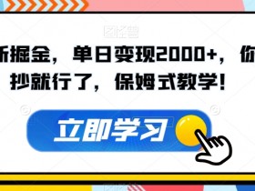 单日变现2000+的超级拉新掘金术：保姆式教学，直接抄作业！-54创业网