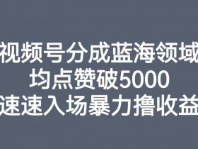 视频号分成蓝海领域：均赞5000+，速抢暴力收益红利-54创业网