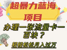 暴利蓝海项目：流量卡代办月入过万？新手保姆教程大揭秘-54创业网