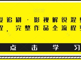 影视解说剪辑教程：东少教你影视混剪搬运全流程实操-54创业网