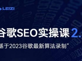 雷子谷歌SEO 2.0实战课：2023最新算法+独立站询盘自由秘籍-54创业网