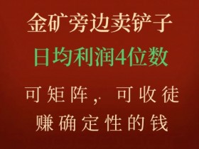 金矿卖铲子赚钱项目：日赚4位数可矩阵收徒，揭秘确定性盈利玩法-54创业网