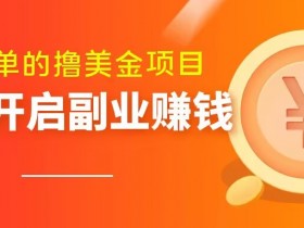 小白轻松赚美金：零门槛打字项目，日赚100+速来！-54创业网