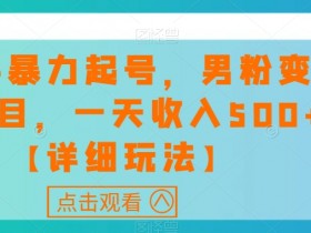 快手男粉变现秘籍：暴力起号日赚500+，详细玩法大揭秘-54创业网