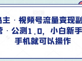 黄岛主视频号副业变现训练营：一部手机轻松赚钱，新手0门槛公测-54创业网