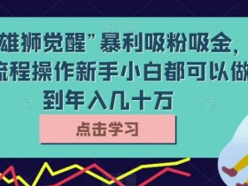 雄狮觉醒暴利项目：新手小白按流程操作，轻松年入几十万【揭秘】-54创业网