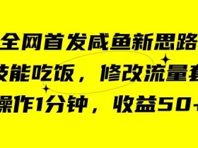咸鱼冷门新玩法：1分钟修改流量套餐，技能赚钱日入50【揭秘】-54创业网