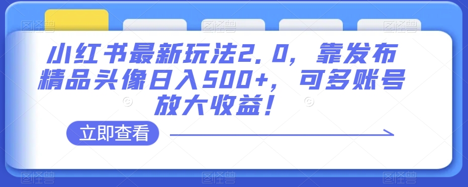 小红书最新玩法2.0,靠发布精品头像日入500+,可多账号放大收益!【揭秘】