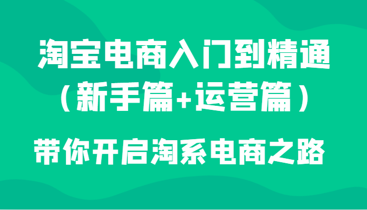 淘宝电商运营新手教程：从入门到精通掌握淘系电商实战技巧-54创业网