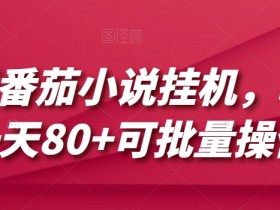 番茄小说自动运行教程：单机日赚80+可批量操作，最新方法揭秘-54创业网