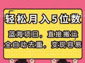 蓝海项目揭秘：全自动去重搬运，轻松月入5位数，变现超简单-54创业网