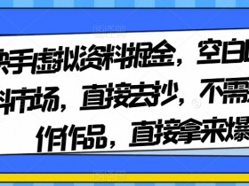 快手虚拟资料赚钱秘籍：空白市场直接抄，0作品轻松爆单-54创业网