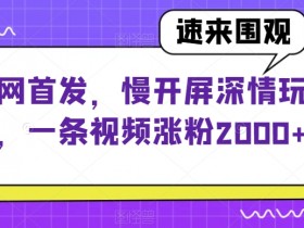 慢开屏深情玩法：一条视频涨粉2000+，全网首发揭秘-54创业网