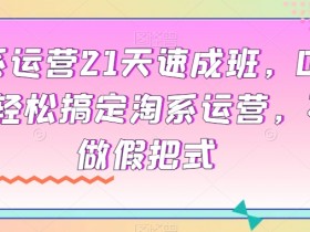 0基础21天速成淘系运营：新手也能轻松掌握的电商实操课-54创业网